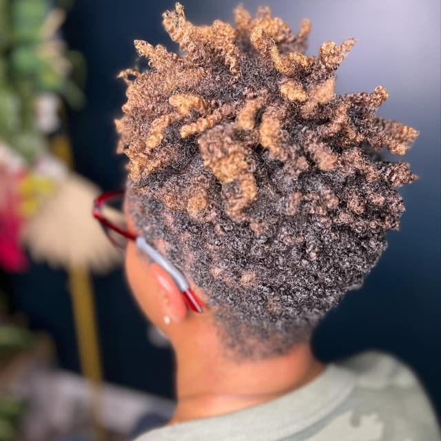 Healthy Hair Essentials at HairbyCarmenD in Richmond, VA